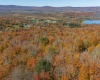 110 Fern Lane, Davis, West Virginia 26260, 0 , 0 ,0,Lots/land,For Sale,Fern,0,10167443