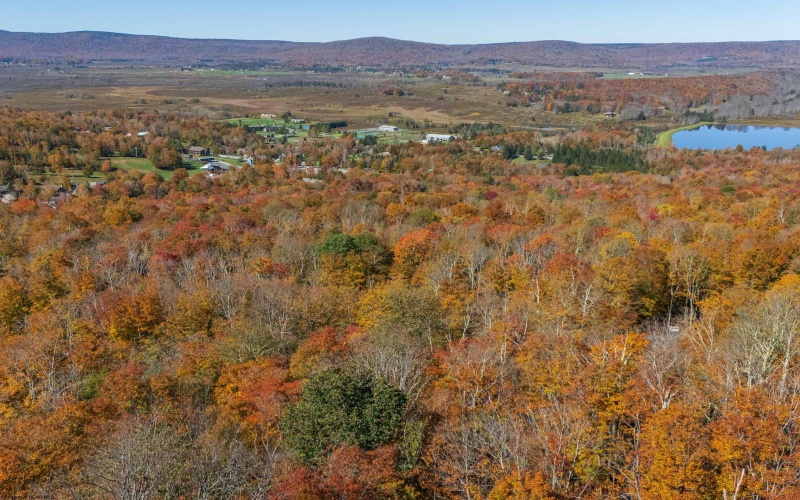 110 Fern Lane, Davis, West Virginia 26260, 0 , 0 ,0,Lots/land,For Sale,Fern,0,10167443