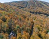 110 Fern Lane, Davis, West Virginia 26260, 0 , 0 ,0,Lots/land,For Sale,Fern,0,10167443