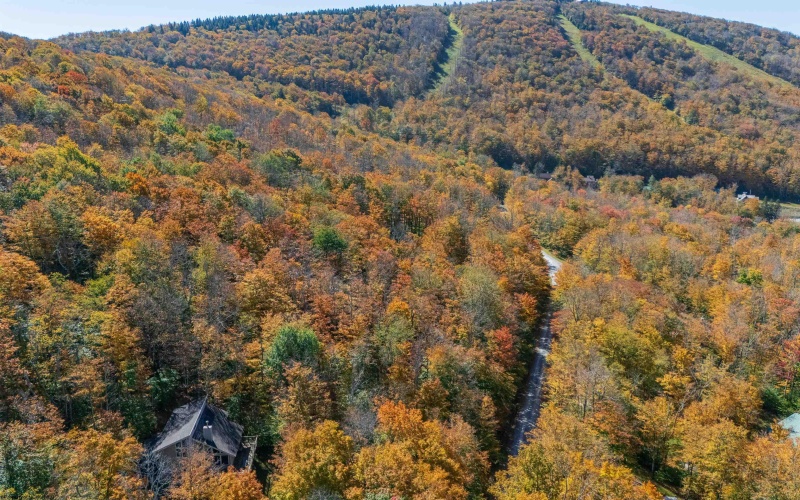 110 Fern Lane, Davis, West Virginia 26260, 0 , 0 ,0,Lots/land,For Sale,Fern,0,10167443
