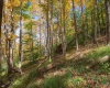 110 Fern Lane, Davis, West Virginia 26260, 0 , 0 ,0,Lots/land,For Sale,Fern,0,10167443