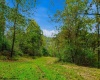 TBD Peach Tree Fork Road, Normantown, West Virginia 25267, 0 , 0 ,0,Lots/land,For Sale,Peach Tree Fork,0,10167406 TBD Peach Tree Fork Road, Normantown, West Virginia 25267, 0 , 0 ,0,Lots/land,For Sale,Peach Tree Fork,0,10167406