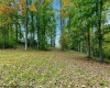 TBD Peach Tree Fork Road, Normantown, West Virginia 25267, 0 , 0 ,0,Lots/land,For Sale,Peach Tree Fork,0,10167406 TBD Peach Tree Fork Road, Normantown, West Virginia 25267, 0 , 0 ,0,Lots/land,For Sale,Peach Tree Fork,0,10167406