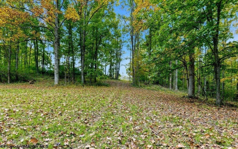 TBD Peach Tree Fork Road, Normantown, West Virginia 25267, 0 , 0 ,0,Lots/land,For Sale,Peach Tree Fork,0,10167406 TBD Peach Tree Fork Road, Normantown, West Virginia 25267, 0 , 0 ,0,Lots/land,For Sale,Peach Tree Fork,0,10167406