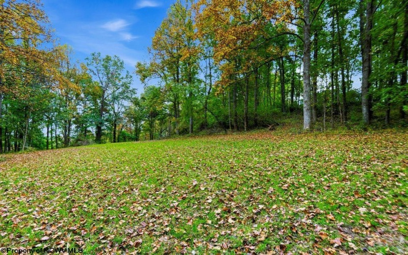 TBD Peach Tree Fork Road, Normantown, West Virginia 25267, 0 , 0 ,0,Lots/land,For Sale,Peach Tree Fork,0,10167406 TBD Peach Tree Fork Road, Normantown, West Virginia 25267, 0 , 0 ,0,Lots/land,For Sale,Peach Tree Fork,0,10167406