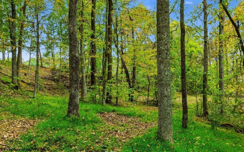 TBD Peach Tree Fork Road, Normantown, West Virginia 25267, 0 , 0 ,0,Lots/land,For Sale,Peach Tree Fork,0,10167406 TBD Peach Tree Fork Road, Normantown, West Virginia 25267, 0 , 0 ,0,Lots/land,For Sale,Peach Tree Fork,0,10167406