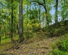 TBD Peach Tree Fork Road, Normantown, West Virginia 25267, 0 , 0 ,0,Lots/land,For Sale,Peach Tree Fork,0,10167406 TBD Peach Tree Fork Road, Normantown, West Virginia 25267, 0 , 0 ,0,Lots/land,For Sale,Peach Tree Fork,0,10167406