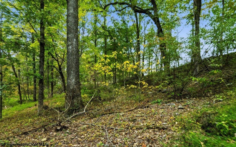 TBD Peach Tree Fork Road, Normantown, West Virginia 25267, 0 , 0 ,0,Lots/land,For Sale,Peach Tree Fork,0,10167406 TBD Peach Tree Fork Road, Normantown, West Virginia 25267, 0 , 0 ,0,Lots/land,For Sale,Peach Tree Fork,0,10167406