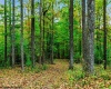 TBD Peach Tree Fork Road, Normantown, West Virginia 25267, 0 , 0 ,0,Lots/land,For Sale,Peach Tree Fork,0,10167406 TBD Peach Tree Fork Road, Normantown, West Virginia 25267, 0 , 0 ,0,Lots/land,For Sale,Peach Tree Fork,0,10167406