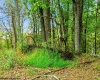 TBD Peach Tree Fork Road, Normantown, West Virginia 25267, 0 , 0 ,0,Lots/land,For Sale,Peach Tree Fork,0,10167406 TBD Peach Tree Fork Road, Normantown, West Virginia 25267, 0 , 0 ,0,Lots/land,For Sale,Peach Tree Fork,0,10167406