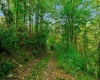 TBD Peach Tree Fork Road, Normantown, West Virginia 25267, 0 , 0 ,0,Lots/land,For Sale,Peach Tree Fork,0,10167406 TBD Peach Tree Fork Road, Normantown, West Virginia 25267, 0 , 0 ,0,Lots/land,For Sale,Peach Tree Fork,0,10167406