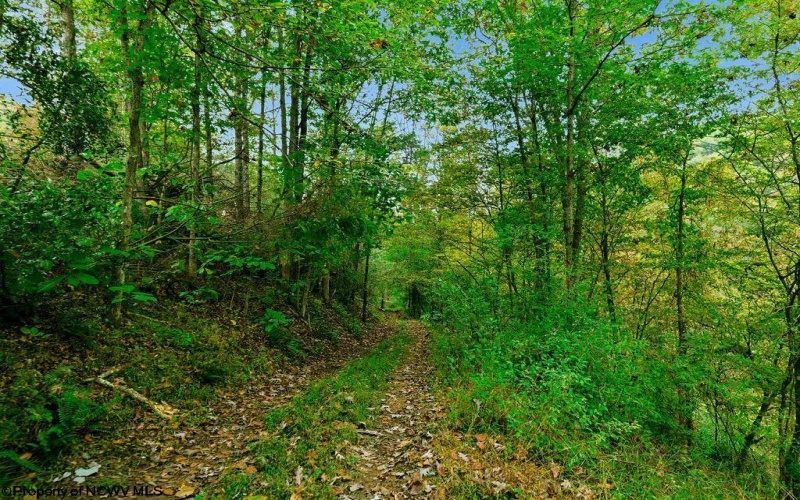 TBD Peach Tree Fork Road, Normantown, West Virginia 25267, 0 , 0 ,0,Lots/land,For Sale,Peach Tree Fork,0,10167406 TBD Peach Tree Fork Road, Normantown, West Virginia 25267, 0 , 0 ,0,Lots/land,For Sale,Peach Tree Fork,0,10167406