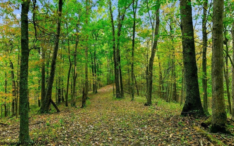 TBD Peach Tree Fork Road, Normantown, West Virginia 25267, 0 , 0 ,0,Lots/land,For Sale,Peach Tree Fork,0,10167406 TBD Peach Tree Fork Road, Normantown, West Virginia 25267, 0 , 0 ,0,Lots/land,For Sale,Peach Tree Fork,0,10167406