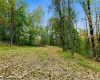 TBD Peach Tree Fork Road, Normantown, West Virginia 25267, 0 , 0 ,0,Lots/land,For Sale,Peach Tree Fork,0,10167406 TBD Peach Tree Fork Road, Normantown, West Virginia 25267, 0 , 0 ,0,Lots/land,For Sale,Peach Tree Fork,0,10167406