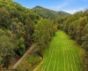 TBD Peach Tree Fork Road, Normantown, West Virginia 25267, 0 , 0 ,0,Lots/land,For Sale,Peach Tree Fork,0,10167406 TBD Peach Tree Fork Road, Normantown, West Virginia 25267, 0 , 0 ,0,Lots/land,For Sale,Peach Tree Fork,0,10167406