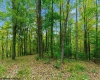 TBD Peach Tree Fork Road, Normantown, West Virginia 25267, 0 , 0 ,0,Lots/land,For Sale,Peach Tree Fork,0,10167406 TBD Peach Tree Fork Road, Normantown, West Virginia 25267, 0 , 0 ,0,Lots/land,For Sale,Peach Tree Fork,0,10167406