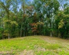 TBD Peach Tree Fork Road, Normantown, West Virginia 25267, 0 , 0 ,0,Lots/land,For Sale,Peach Tree Fork,0,10167406 TBD Peach Tree Fork Road, Normantown, West Virginia 25267, 0 , 0 ,0,Lots/land,For Sale,Peach Tree Fork,0,10167406