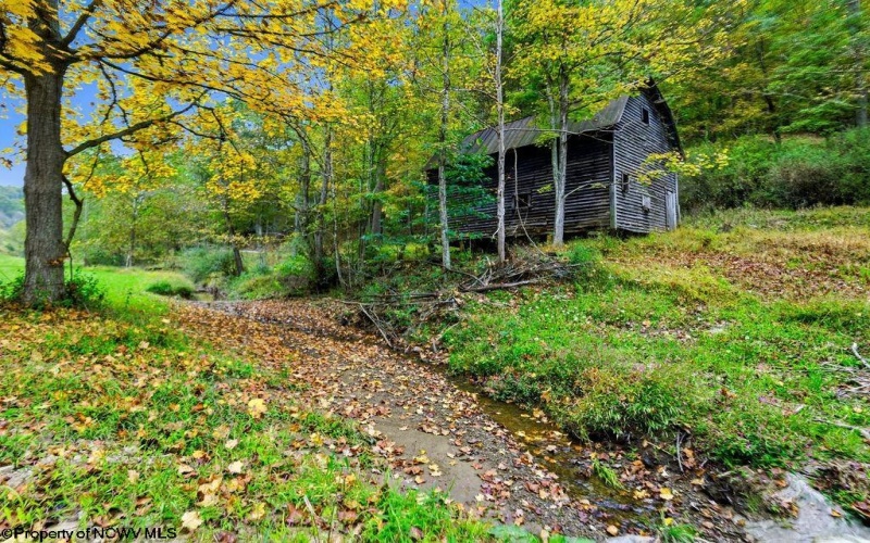 TBD Peach Tree Fork Road, Normantown, West Virginia 25267, 0 , 0 ,0,Lots/land,For Sale,Peach Tree Fork,0,10167406 TBD Peach Tree Fork Road, Normantown, West Virginia 25267, 0 , 0 ,0,Lots/land,For Sale,Peach Tree Fork,0,10167406