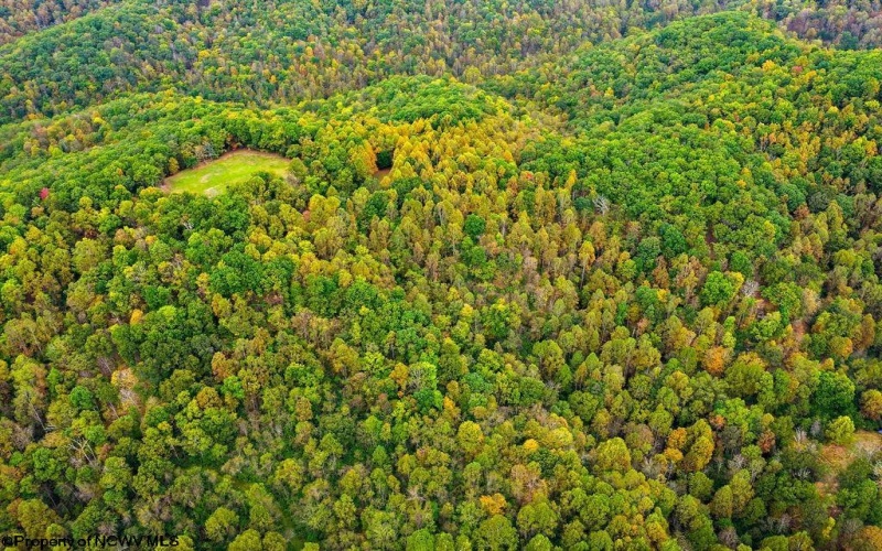 TBD Peach Tree Fork Road, Normantown, West Virginia 25267, 0 , 0 ,0,Lots/land,For Sale,Peach Tree Fork,0,10167406 TBD Peach Tree Fork Road, Normantown, West Virginia 25267, 0 , 0 ,0,Lots/land,For Sale,Peach Tree Fork,0,10167406
