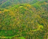 TBD Peach Tree Fork Road, Normantown, West Virginia 25267, 0 , 0 ,0,Lots/land,For Sale,Peach Tree Fork,0,10167406 TBD Peach Tree Fork Road, Normantown, West Virginia 25267, 0 , 0 ,0,Lots/land,For Sale,Peach Tree Fork,0,10167406