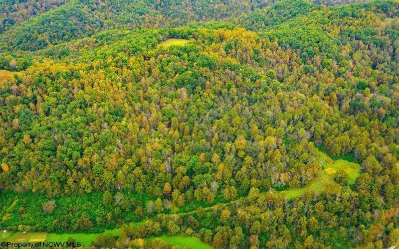 TBD Peach Tree Fork Road, Normantown, West Virginia 25267, 0 , 0 ,0,Lots/land,For Sale,Peach Tree Fork,0,10167406 TBD Peach Tree Fork Road, Normantown, West Virginia 25267, 0 , 0 ,0,Lots/land,For Sale,Peach Tree Fork,0,10167406