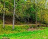 TBD Peach Tree Fork Road, Normantown, West Virginia 25267, 0 , 0 ,0,Lots/land,For Sale,Peach Tree Fork,0,10167406 TBD Peach Tree Fork Road, Normantown, West Virginia 25267, 0 , 0 ,0,Lots/land,For Sale,Peach Tree Fork,0,10167406