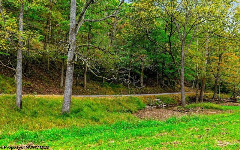 TBD Peach Tree Fork Road, Normantown, West Virginia 25267, 0 , 0 ,0,Lots/land,For Sale,Peach Tree Fork,0,10167406 TBD Peach Tree Fork Road, Normantown, West Virginia 25267, 0 , 0 ,0,Lots/land,For Sale,Peach Tree Fork,0,10167406