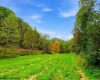 TBD Peach Tree Fork Road, Normantown, West Virginia 25267, 0 , 0 ,0,Lots/land,For Sale,Peach Tree Fork,0,10167406 TBD Peach Tree Fork Road, Normantown, West Virginia 25267, 0 , 0 ,0,Lots/land,For Sale,Peach Tree Fork,0,10167406