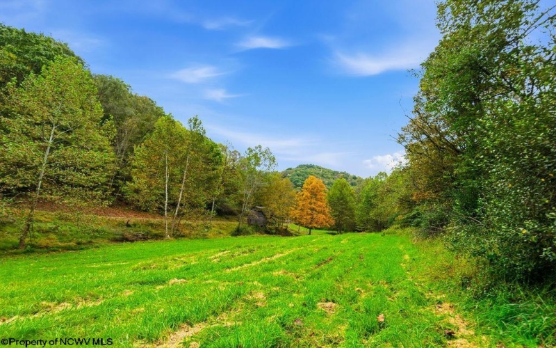 TBD Peach Tree Fork Road, Normantown, West Virginia 25267, 0 , 0 ,0,Lots/land,For Sale,Peach Tree Fork,0,10167406 TBD Peach Tree Fork Road, Normantown, West Virginia 25267, 0 , 0 ,0,Lots/land,For Sale,Peach Tree Fork,0,10167406