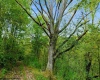 TBD Peach Tree Fork Road, Normantown, West Virginia 25267, 0 , 0 ,0,Lots/land,For Sale,Peach Tree Fork,0,10167406 TBD Peach Tree Fork Road, Normantown, West Virginia 25267, 0 , 0 ,0,Lots/land,For Sale,Peach Tree Fork,0,10167406