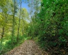 TBD Peach Tree Fork Road, Normantown, West Virginia 25267, 0 , 0 ,0,Lots/land,For Sale,Peach Tree Fork,0,10167406 TBD Peach Tree Fork Road, Normantown, West Virginia 25267, 0 , 0 ,0,Lots/land,For Sale,Peach Tree Fork,0,10167406