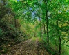 TBD Peach Tree Fork Road, Normantown, West Virginia 25267, 0 , 0 ,0,Lots/land,For Sale,Peach Tree Fork,0,10167406 TBD Peach Tree Fork Road, Normantown, West Virginia 25267, 0 , 0 ,0,Lots/land,For Sale,Peach Tree Fork,0,10167406