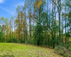 TBD Peach Tree Fork Road, Normantown, West Virginia 25267, 0 , 0 ,0,Lots/land,For Sale,Peach Tree Fork,0,10167406 TBD Peach Tree Fork Road, Normantown, West Virginia 25267, 0 , 0 ,0,Lots/land,For Sale,Peach Tree Fork,0,10167406