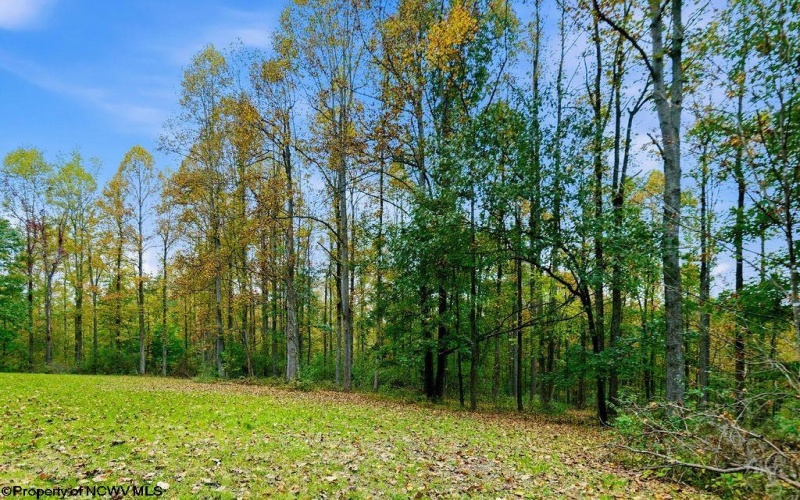 TBD Peach Tree Fork Road, Normantown, West Virginia 25267, 0 , 0 ,0,Lots/land,For Sale,Peach Tree Fork,0,10167406 TBD Peach Tree Fork Road, Normantown, West Virginia 25267, 0 , 0 ,0,Lots/land,For Sale,Peach Tree Fork,0,10167406