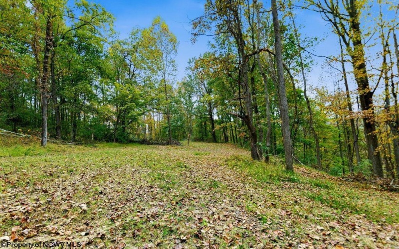 TBD Peach Tree Fork Road, Normantown, West Virginia 25267, 0 , 0 ,0,Lots/land,For Sale,Peach Tree Fork,0,10167406 TBD Peach Tree Fork Road, Normantown, West Virginia 25267, 0 , 0 ,0,Lots/land,For Sale,Peach Tree Fork,0,10167406