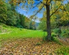 TBD Peach Tree Fork Road, Normantown, West Virginia 25267, 0 , 0 ,0,Lots/land,For Sale,Peach Tree Fork,0,10167406 TBD Peach Tree Fork Road, Normantown, West Virginia 25267, 0 , 0 ,0,Lots/land,For Sale,Peach Tree Fork,0,10167406