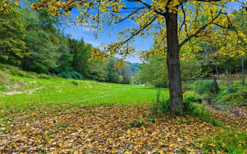 TBD Peach Tree Fork Road, Normantown, West Virginia 25267, 0 , 0 ,0,Lots/land,For Sale,Peach Tree Fork,0,10167406 TBD Peach Tree Fork Road, Normantown, West Virginia 25267, 0 , 0 ,0,Lots/land,For Sale,Peach Tree Fork,0,10167406