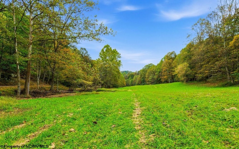 TBD Peach Tree Fork Road, Normantown, West Virginia 25267, 0 , 0 ,0,Lots/land,For Sale,Peach Tree Fork,0,10167406 TBD Peach Tree Fork Road, Normantown, West Virginia 25267, 0 , 0 ,0,Lots/land,For Sale,Peach Tree Fork,0,10167406