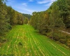 TBD Peach Tree Fork Road, Normantown, West Virginia 25267, 0 , 0 ,0,Lots/land,For Sale,Peach Tree Fork,0,10167406 TBD Peach Tree Fork Road, Normantown, West Virginia 25267, 0 , 0 ,0,Lots/land,For Sale,Peach Tree Fork,0,10167406