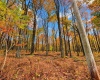 23 Alpine Drive, Terra Alta, West Virginia 26764, 0 , 0 ,0,Lots/land,For Sale,Alpine,0,10167461