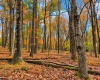 23 Alpine Drive, Terra Alta, West Virginia 26764, 0 , 0 ,0,Lots/land,For Sale,Alpine,0,10167461