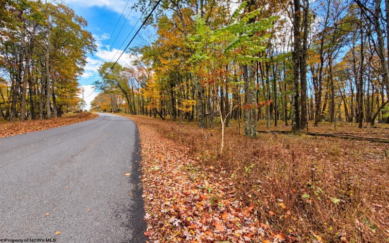 23 Alpine Drive, Terra Alta, West Virginia 26764, 0 , 0 ,0,Lots/land,For Sale,Alpine,0,10167461