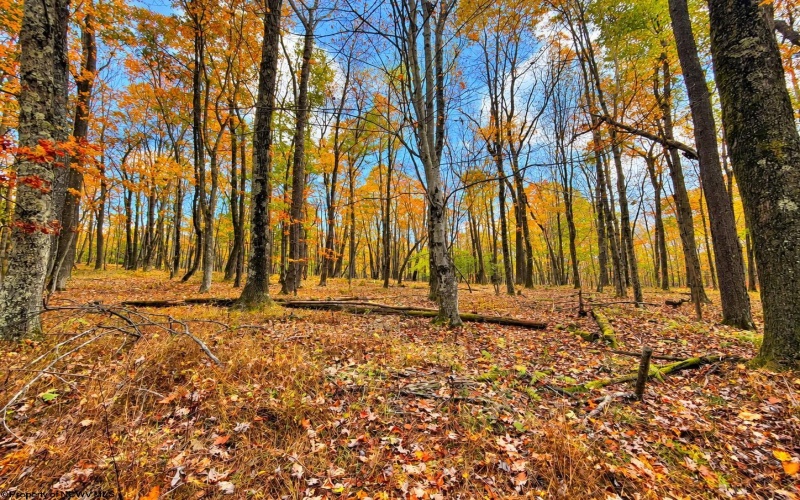 23 Alpine Drive, Terra Alta, West Virginia 26764, 0 , 0 ,0,Lots/land,For Sale,Alpine,0,10167461
