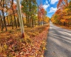 23 Alpine Drive, Terra Alta, West Virginia 26764, 0 , 0 ,0,Lots/land,For Sale,Alpine,0,10167461
