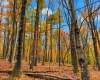 23 Alpine Drive, Terra Alta, West Virginia 26764, 0 , 0 ,0,Lots/land,For Sale,Alpine,0,10167461