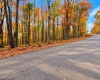 23 Alpine Drive, Terra Alta, West Virginia 26764, 0 , 0 ,0,Lots/land,For Sale,Alpine,0,10167461