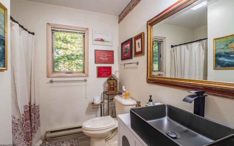 276 Hikers Challenge Road, Davis, West Virginia 26260, 5 Bedroom Bedrooms, 8 Room Rooms,4 BathroomBathrooms,Single Family Detached,For Sale,Hikers Challenge,0,10167464