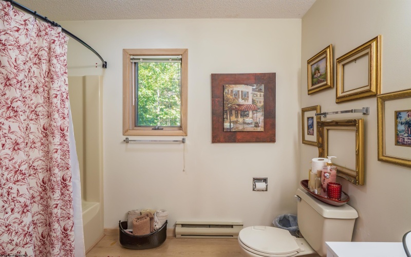276 Hikers Challenge Road, Davis, West Virginia 26260, 5 Bedroom Bedrooms, 8 Room Rooms,4 BathroomBathrooms,Single Family Detached,For Sale,Hikers Challenge,0,10167464
