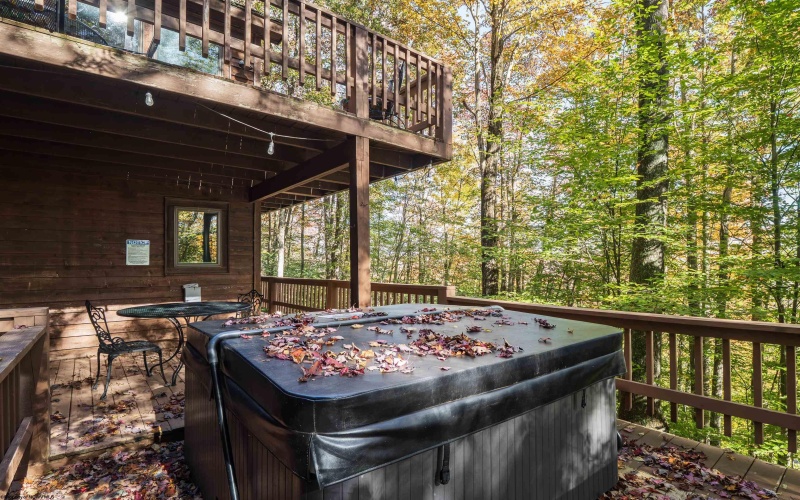 276 Hikers Challenge Road, Davis, West Virginia 26260, 5 Bedroom Bedrooms, 8 Room Rooms,4 BathroomBathrooms,Single Family Detached,For Sale,Hikers Challenge,0,10167464