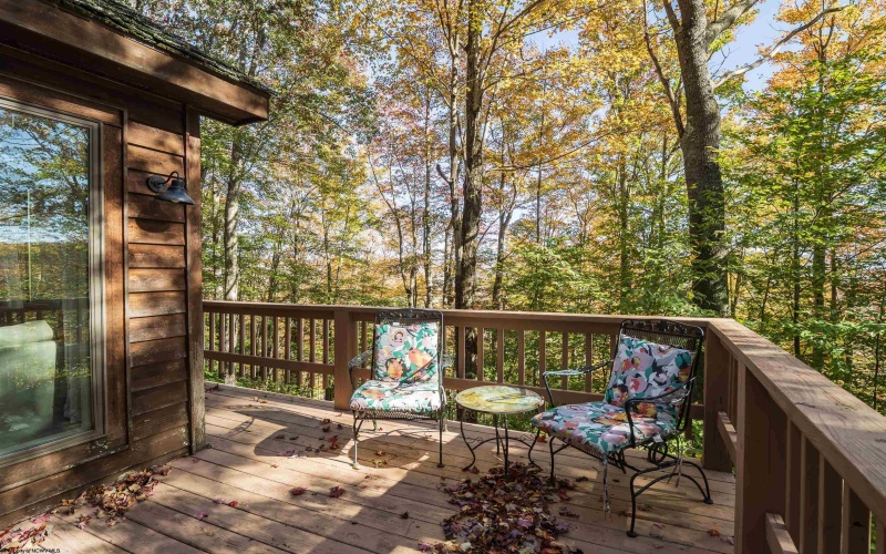 276 Hikers Challenge Road, Davis, West Virginia 26260, 5 Bedroom Bedrooms, 8 Room Rooms,4 BathroomBathrooms,Single Family Detached,For Sale,Hikers Challenge,0,10167464